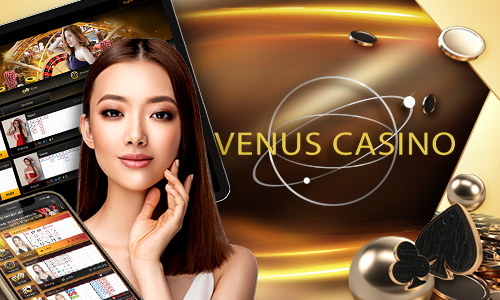 14win 4455 bet cassino H5