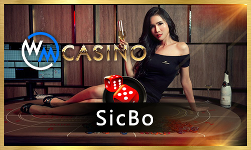 14win q bet cassino entretenimento