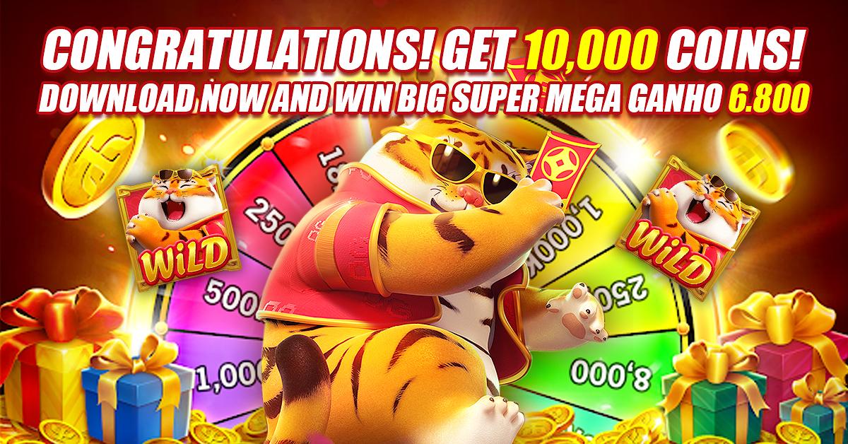 14win 5win cassino entretenimento