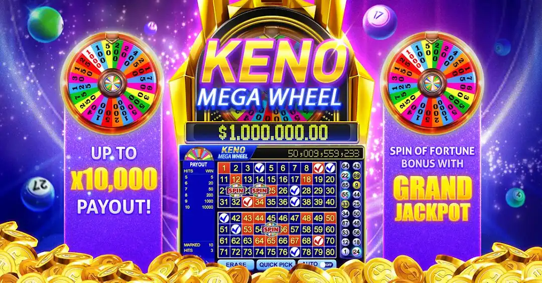 14win bet365 brasil cassino iOS