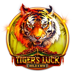 14win real bets cassino Jogos
